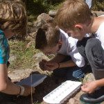 A group of boys are looking at a sample of a plant.