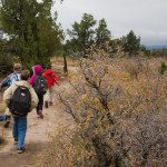 A group of people walking down a trail with backpacks.