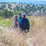 closeup of adults walking through hiking trail with tall grass